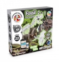 2 in 1 Fossil Excavation Kit I. Jogo did�tico para crian�as