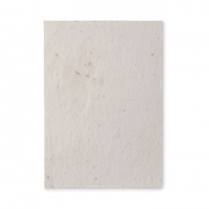 ASIDE Papel sementes de flores A5