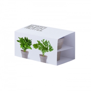 Set Vasos Nertel