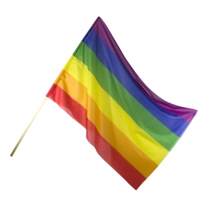 BANDEIRA POLIESTER 70X100 CM PERSONALIZ�VEL