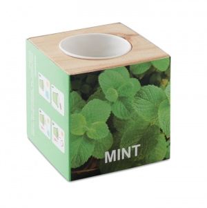 MENTA Porta sementes Menta