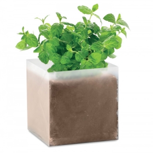 MINT Composto sementes Menta