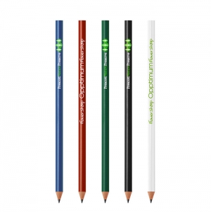 BIC EVOLUTION CLASSIC CUT ECOLUTIONS LPIS IMPRESSO 1 COR