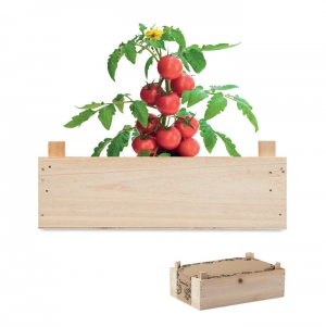 TOMATO Kit tomate em caixa de madeira