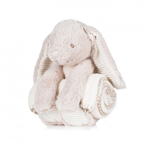Coelho de peluche e cobertor