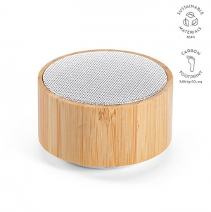 Einstein Speaker