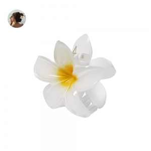 Presilha de Cabelo Tixcon