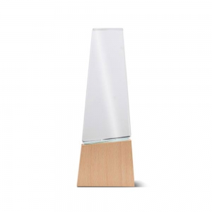 Trof�u em madeira e vidro com caixa de oferta