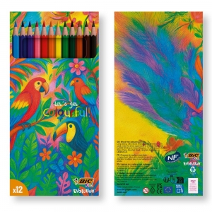 BIC� KIDS COLOURING SET 12 UNITS