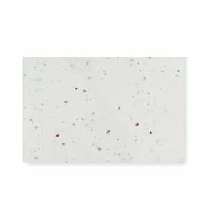 ASIDA Cart�o de visita sementes