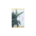 CARTEIRA PORTA-MOEDAS PERSONALIZ�VEL