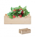 STRAWBERRY Kit  morangos caixa de madeira