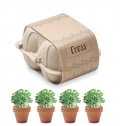 CRESS Kit de cultivo em caixa de ovo