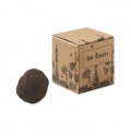 BOMBI II Kit de sementes flor de abelha