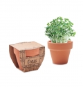 CRESS POT Sementes de agrio em vaso
