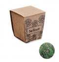 SUNFLOWER KIT Kit de cultivo de girassol
