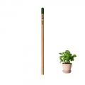 L�pis plant�vel por afiar - EN