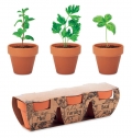 FLOWERPOT Conj. vaso terracota 3 ervas