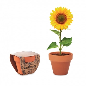 SUNFLOWER Vaso em terracota 'girassol'