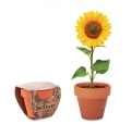 SUNFLOWER Vaso em terracota 'girassol'